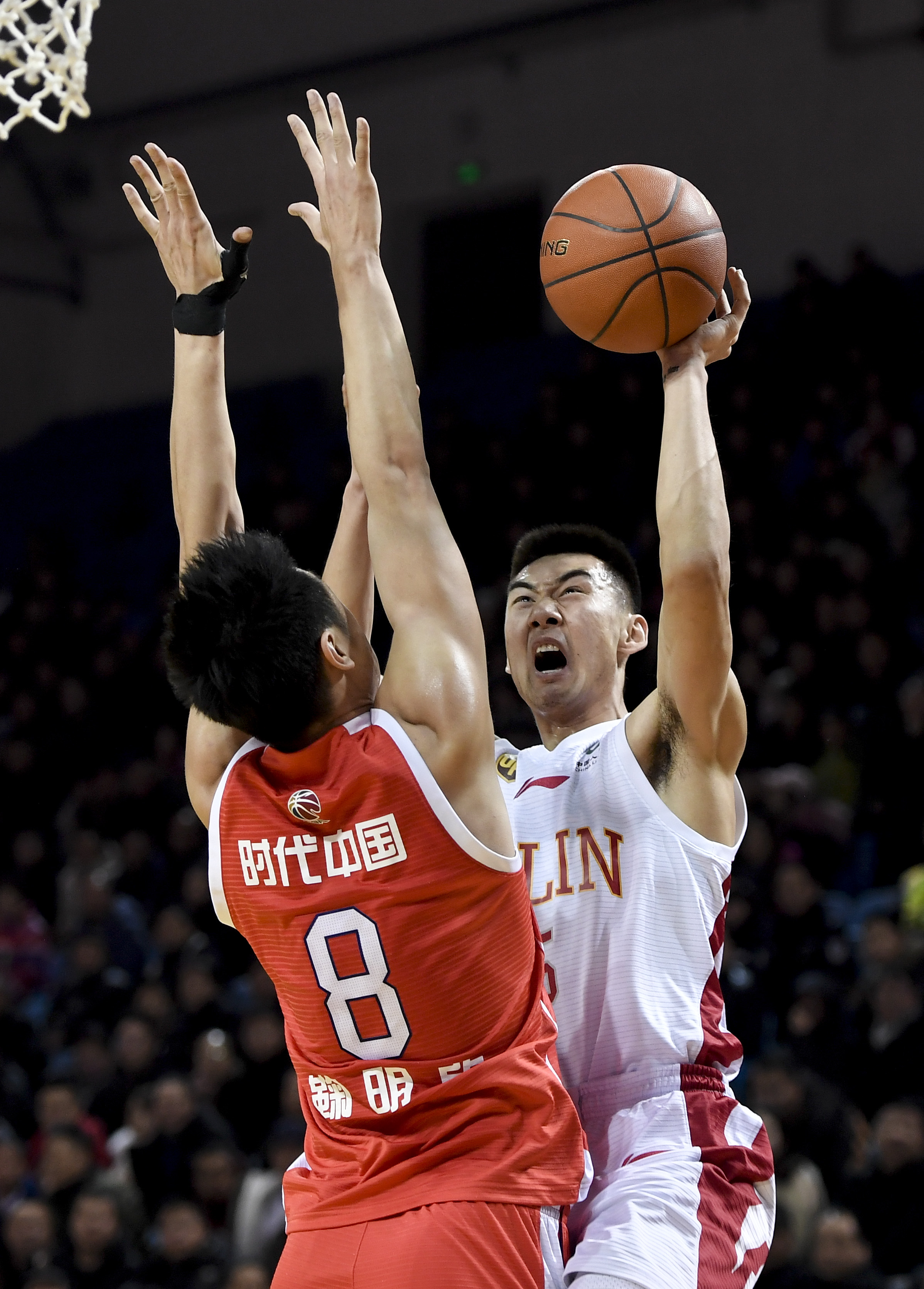 关注明星球 关注明星球