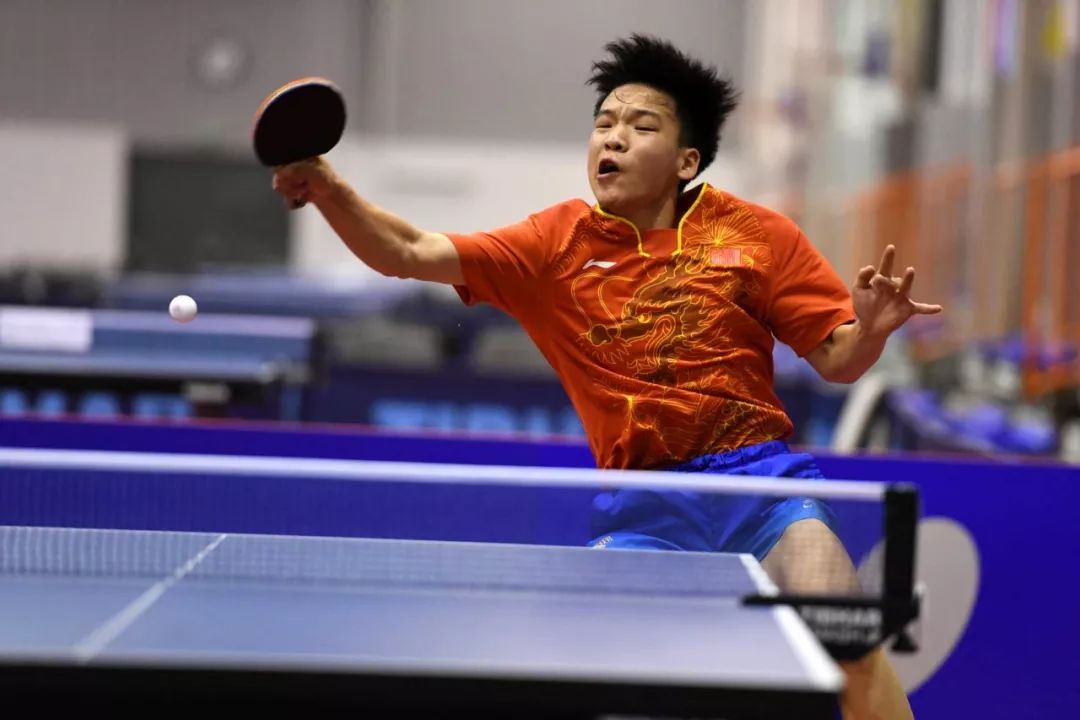 他心态与能 他心态与能