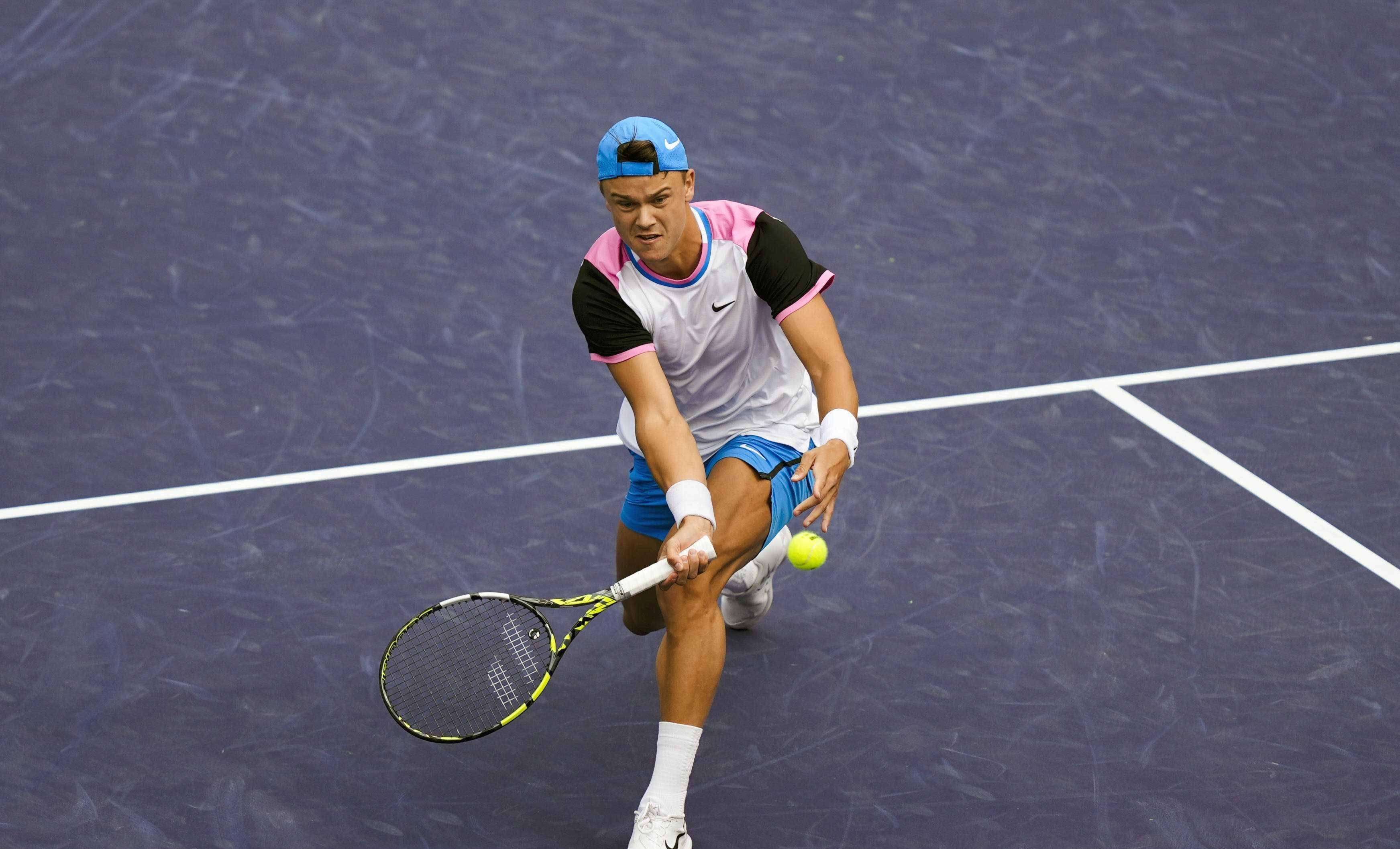 张本智和在 张本智和在