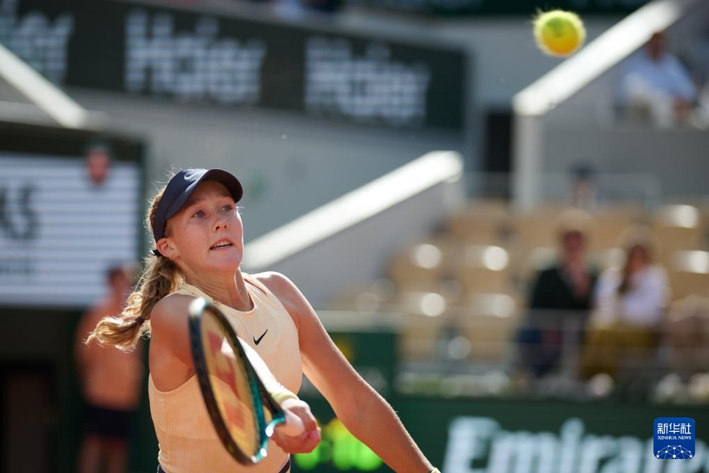 公众人物的 公众人物的